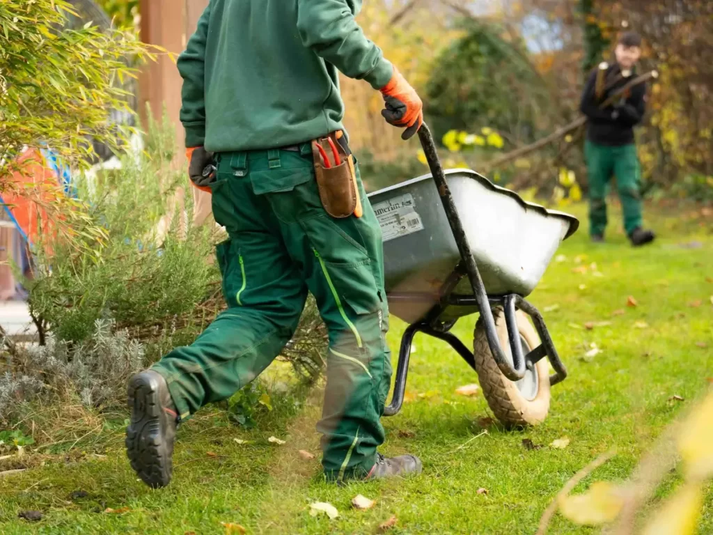 Choose the Right Garden Waste Removal Service